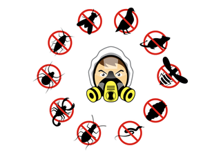 Illustration for article titled شركة مكافحة حشرات بجدة متخصصة